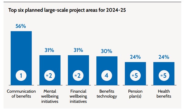 Top 6 planned large scale project areas 2024-25 graph.jpg