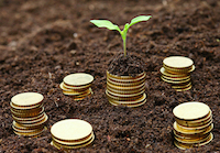 40F1-1448565022_coins_with_seedling_shutterstock.jpg