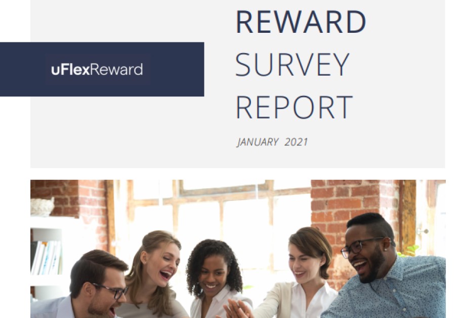 Report: Reward Survey Report 1