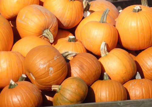 Pumpkins