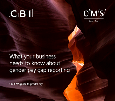 Report: What your business needs to know about gender pay gap reporting ...