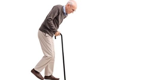 9019-1461332925_walking_stick_-_MAIN.jpg