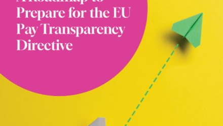 RoleMapper guide: A Roadmap to Prepare for the EU Pay Transparency Directive.jpg