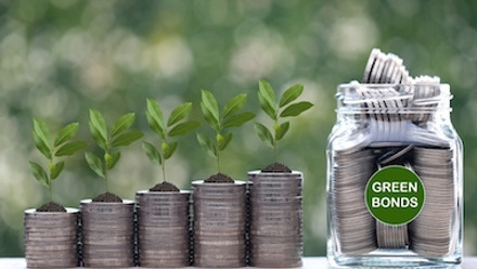 5 steps to aligning your fund strategy with corporate ESG aims.jpg